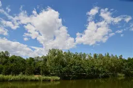 Аналіз реального часу цін на сотні та тисячі юанів