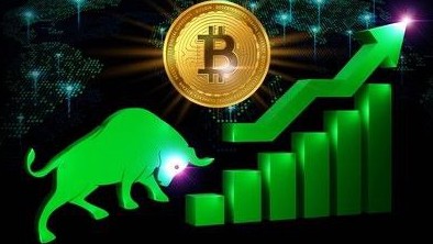 SpaceX transferred 1,163 BTC worth $105.23 million to a new address