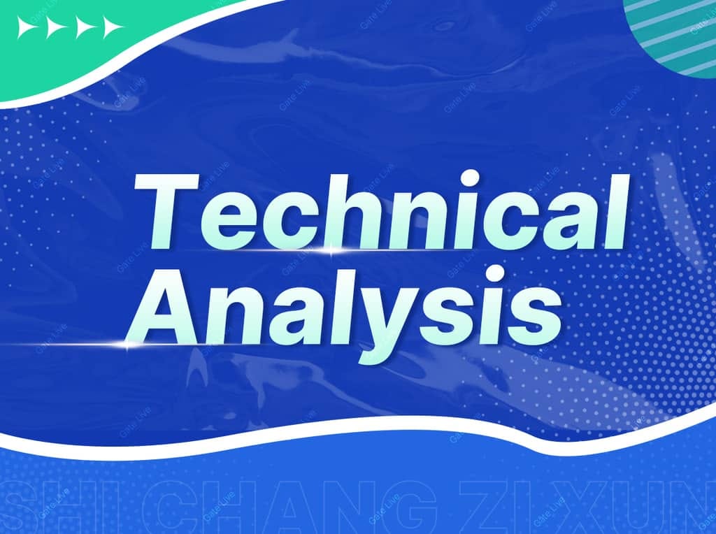 [New  Streamer ]Bitcoin Market and Analysis