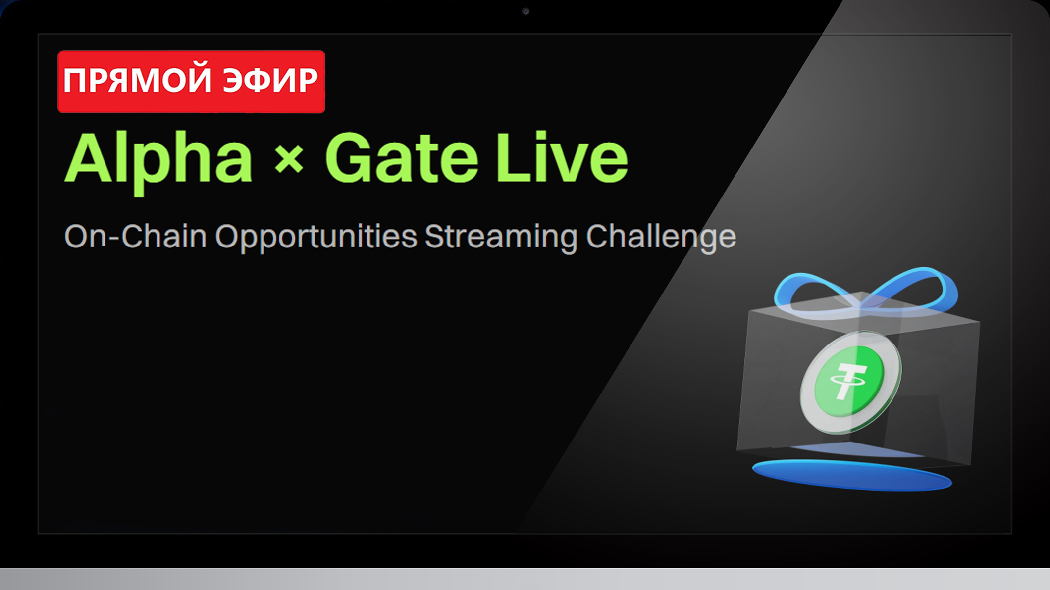 Alpha × Gate Live x DigitalPerson