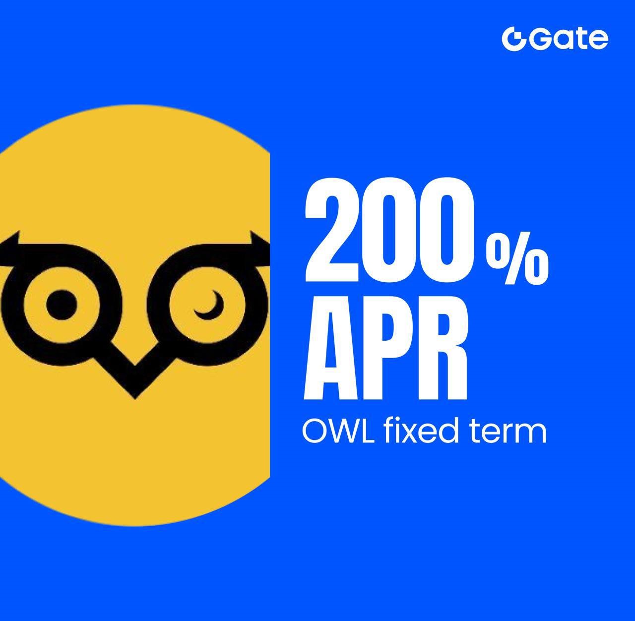 🌟Gate Live Bonus Aufgabe - Einfaches Earn OWL