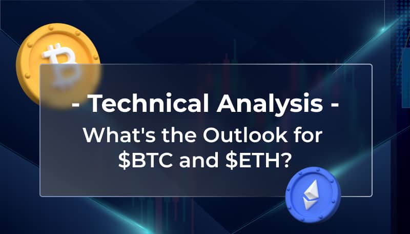 New Streamer Tecnical overview Market Analysis