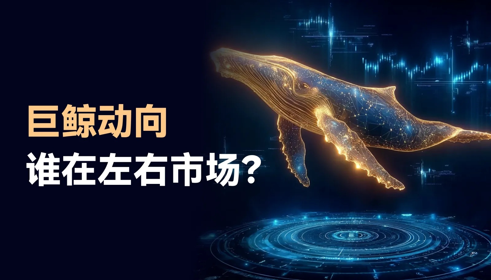 Bitcoin a montré le même signal de survente qu'en 2022.