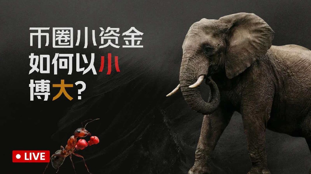 黄金短线