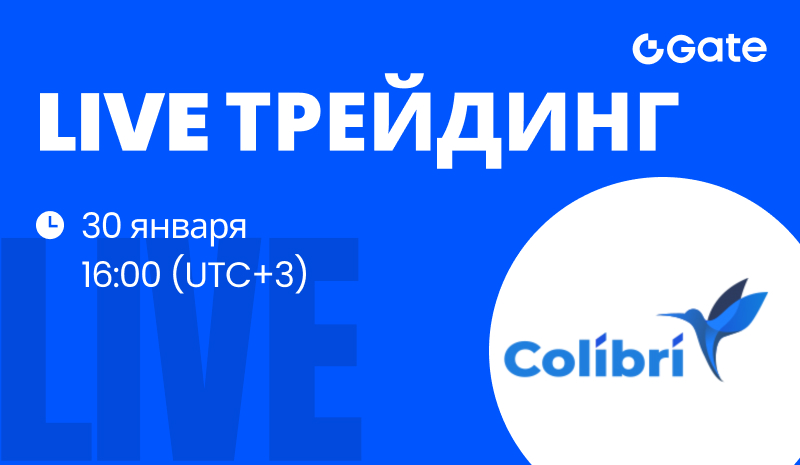 a trading terminal for scalping and intraday trading
