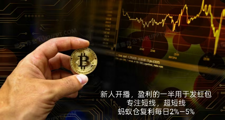 新人主播，实盘直播