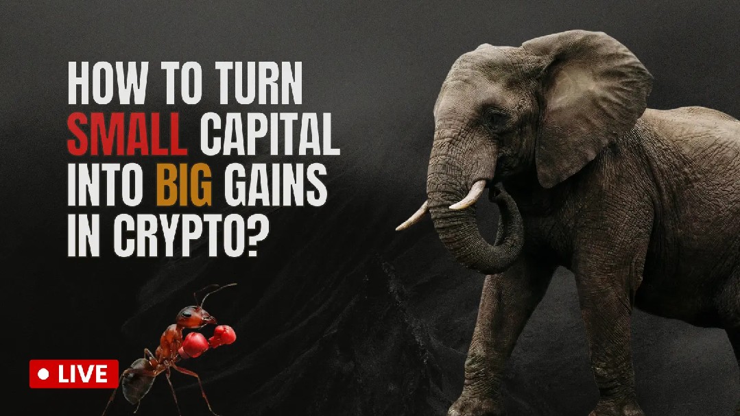 in market cap, briefly dipping below $70M overnight - bubble burst or a dip-buying chance?