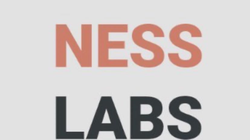 ネスラボ - ゲートトークンを保存する