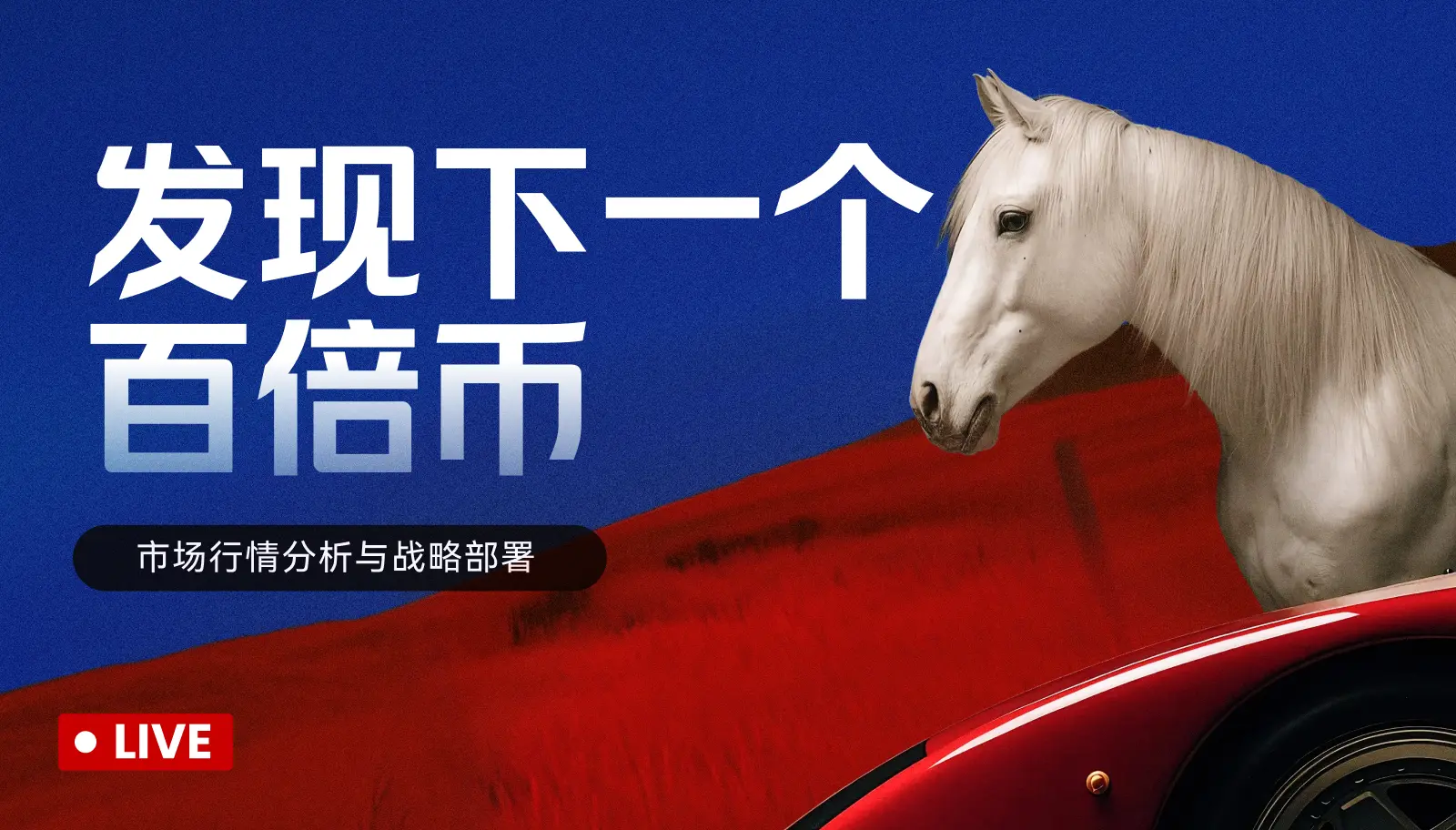 🎙️ Chinese market returns? Where is the golden dog in the primary market that could increase by thousands of times? Join the live broadcast for a step-by-step chain scanning tutorial! (15:00-15:20 sharing market overview)