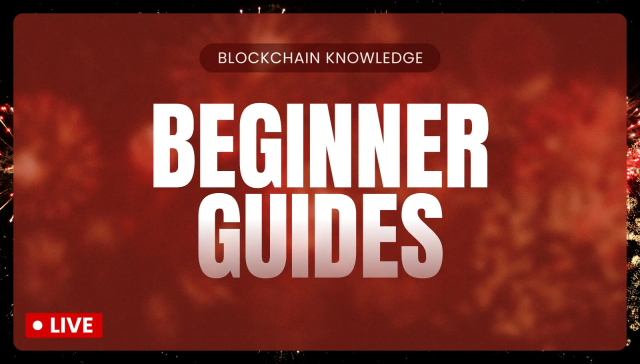 Xu hướng Thị trường Crypto: Những Biểu đồ Đang Nói Gì